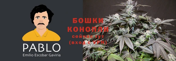 прущие крисы Абаза