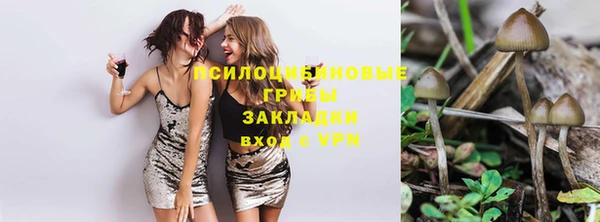 Альфа ПВП Абдулино