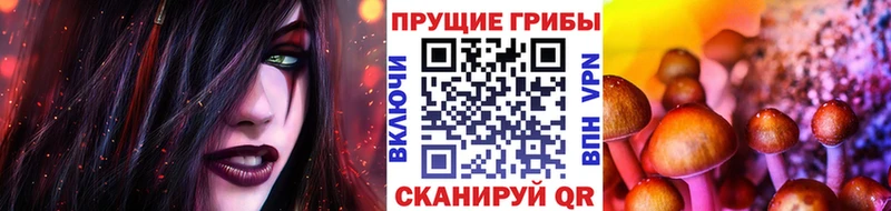 Галлюциногенные грибы мухоморы  Енисейск 